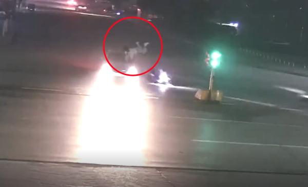 17岁少年,半夜骑电动车加速闯红灯被撞飞,全责! 17岁少年,半夜骑电动车加速闯红灯被撞飞,全责!