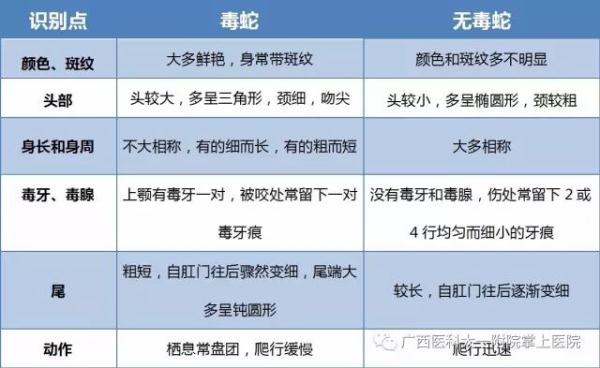 触目惊心！老伯在自家果园被眼镜王蛇咬伤，专家提醒→