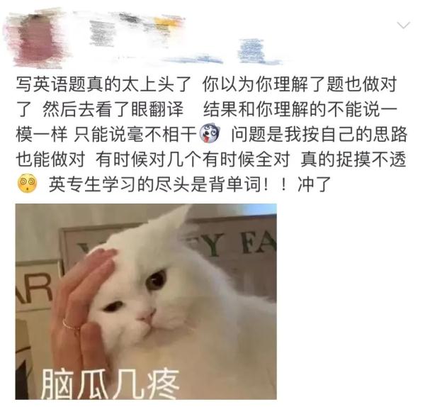 “这个说明书能不能帮我翻译一下啊？”