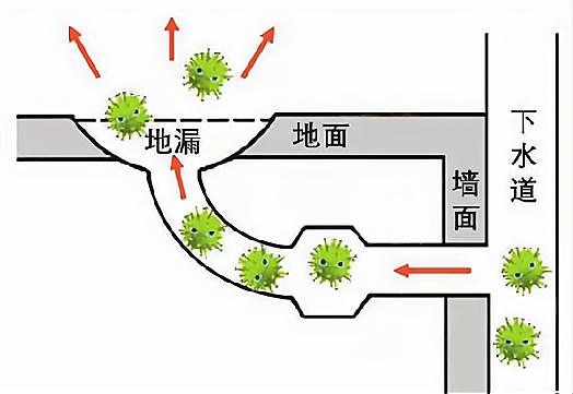 邻居“阳”了，病毒会顺着下水道到我家吗？马桶会传播病毒吗？