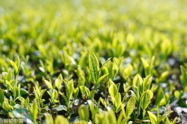 辽宁省内部分地区以多云为主 各地最高温在20℃左右 辽宁省内部分地区以多云为主 各地最高温在20℃左右