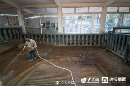 济南动物园里有位犀牛“铲屎官” 曾连续照顾十几个日夜帮犀牛熬过难关 济南动物园里有位犀牛“铲屎官” 曾连续照顾十几个日夜帮犀牛熬过难关