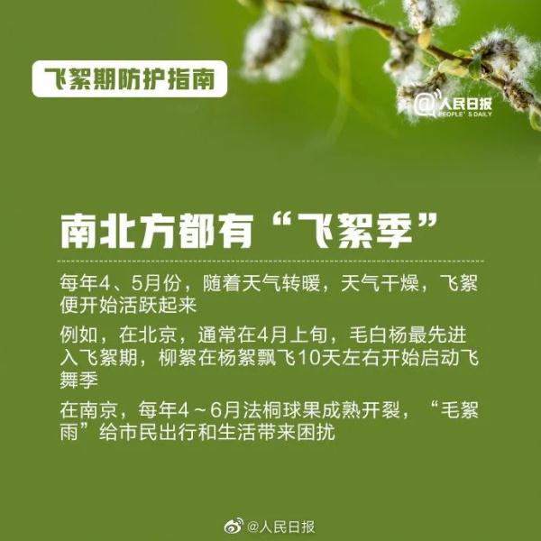 高能预警!收好飞絮季防护指南 高能预警!收好飞絮季防护指南
