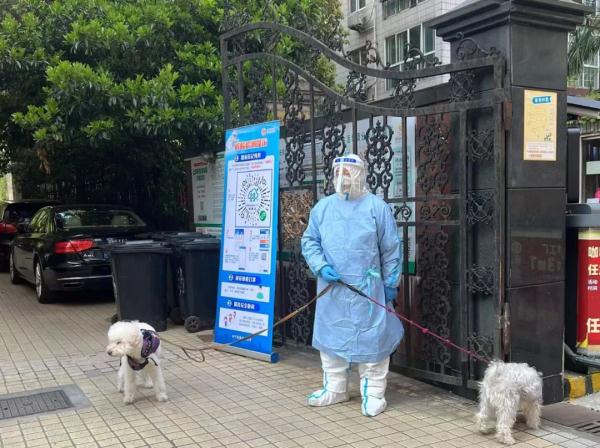 “谁要带鱼？烧不来有点浪费”业主群里一条信息收到大量回复，内容出乎意料……