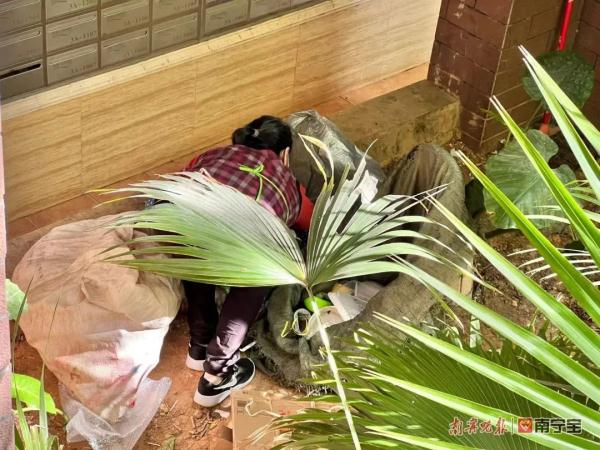 周一见 | 一些老人为何爱扫楼翻桶“捡垃圾”？这种情况要警惕→