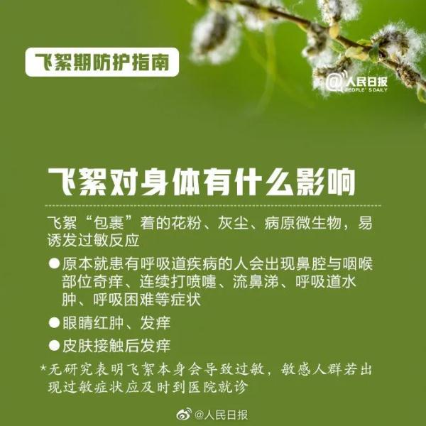 高能预警!收好飞絮季防护指南 高能预警!收好飞絮季防护指南