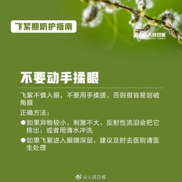 高能预警!收好飞絮季防护指南 高能预警!收好飞絮季防护指南