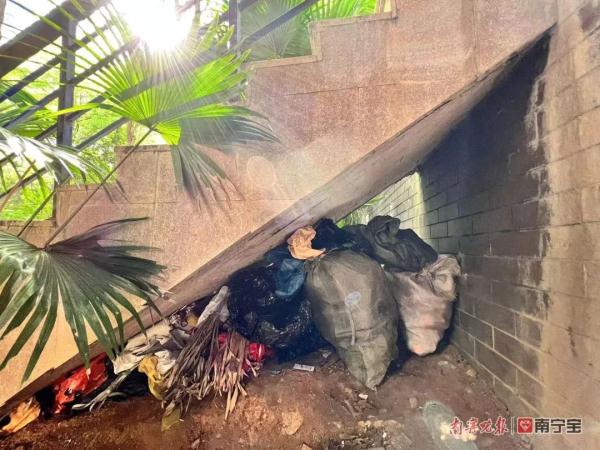 周一见 | 一些老人为何爱扫楼翻桶“捡垃圾”？这种情况要警惕→