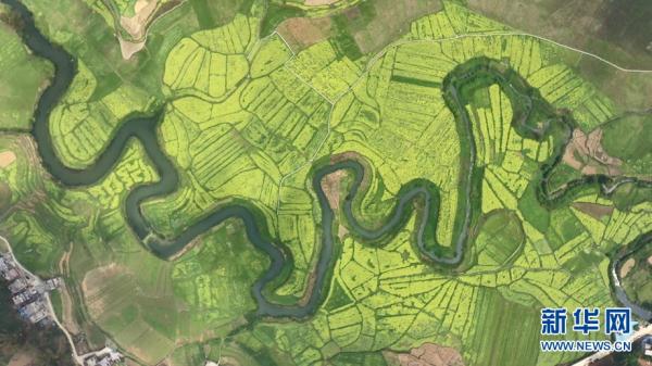 广西：命河两岸花如海