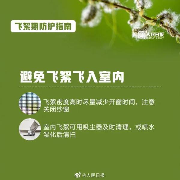 高能预警!收好飞絮季防护指南 高能预警!收好飞絮季防护指南
