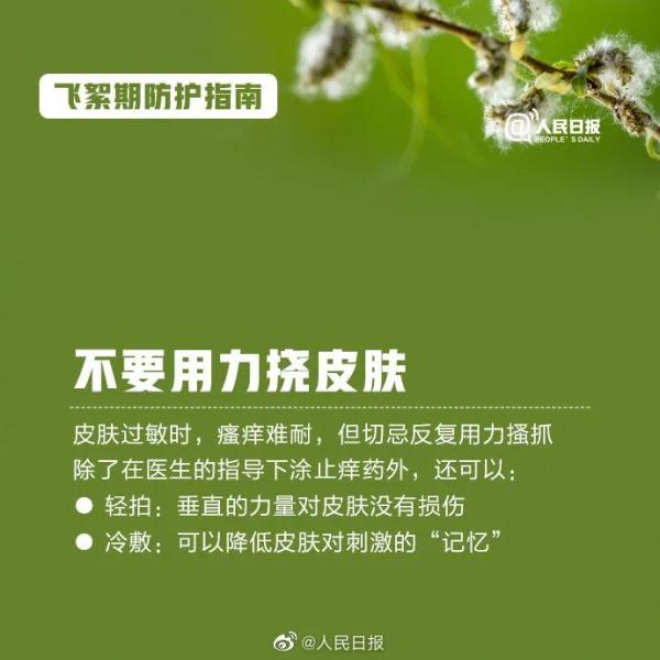 高能预警!收好飞絮季防护指南 高能预警!收好飞絮季防护指南