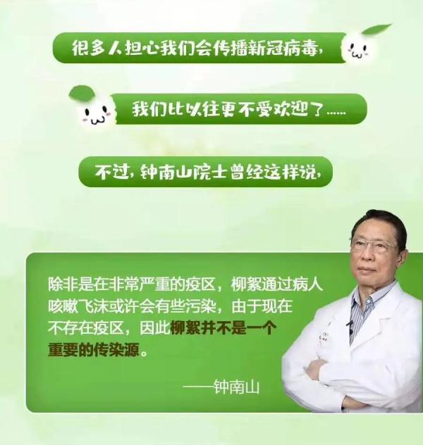 高能预警!收好飞絮季防护指南 高能预警!收好飞絮季防护指南