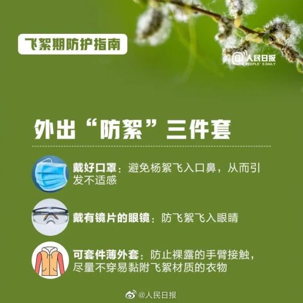 高能预警!收好飞絮季防护指南 高能预警!收好飞絮季防护指南