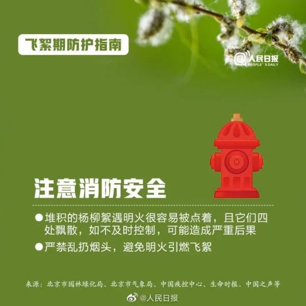 高能预警!收好飞絮季防护指南 高能预警!收好飞絮季防护指南