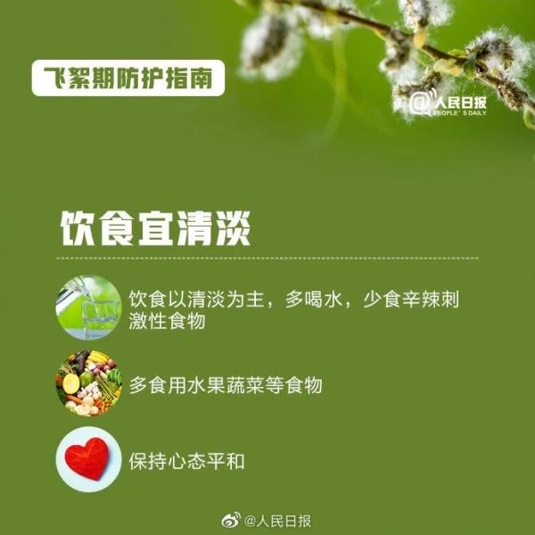 高能预警!收好飞絮季防护指南 高能预警!收好飞絮季防护指南