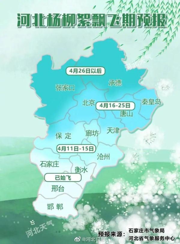 高能预警!收好飞絮季防护指南 高能预警!收好飞絮季防护指南