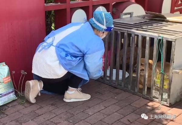 这些都是假的！上海再次辟谣，警方已介入