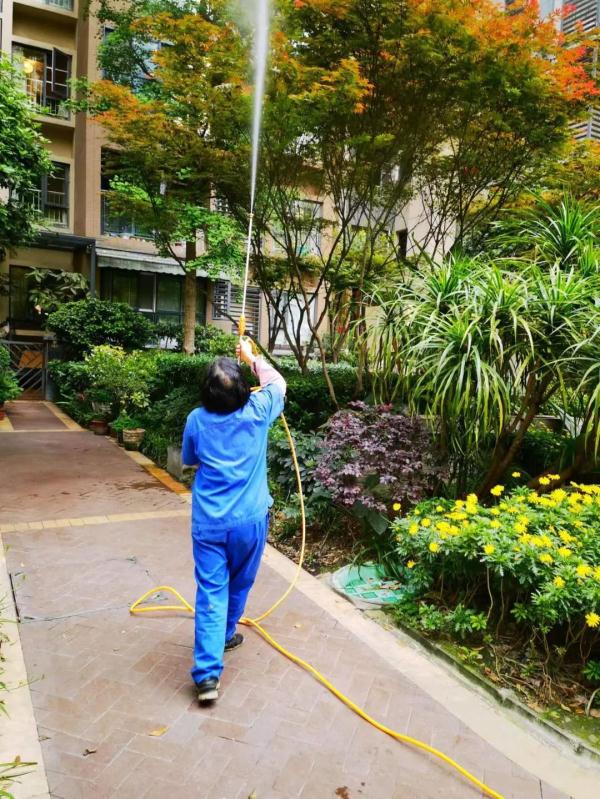 现身成都的“白色飞虫”到底是啥?专家解答来了→ 现身成都的“白色飞虫”到底是啥?专家解答来了→