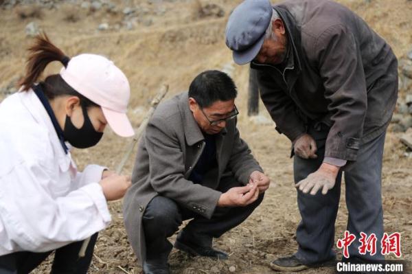 青海西宁已连续62天未出现有效降水 多地出现气象干旱