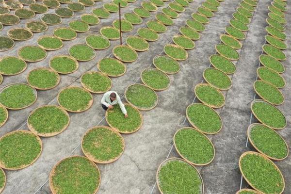 女子卖茶叶给好友280万元货款难收回，对方报案“售假”她还被逮捕