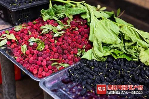 在广西，水果配上这个，“人间值得”！