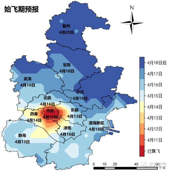 又到飞絮时！杨柳絮飘飞期预报来了