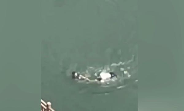 无锡一名孕妇与他人接力救起溺水者,同获见义勇为表彰 无锡一名孕妇与他人接力救起溺水者,同获见义勇为表彰