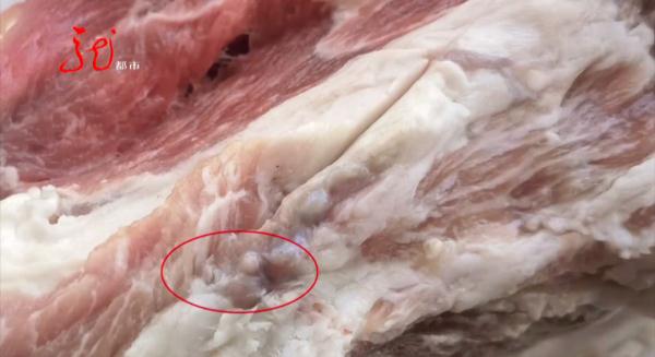 吓人！新买的猪肉里有“痘”，这还能吃吗？赶紧听听专家怎么说