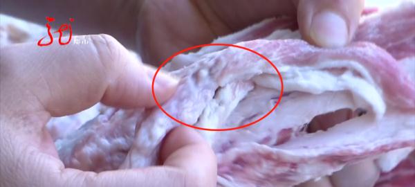 吓人！新买的猪肉里有“痘”，这还能吃吗？赶紧听听专家怎么说