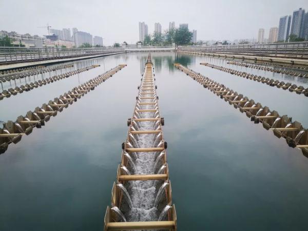 郑州柿园水厂换水源后，水垢增多略带咸味儿，啥原因？