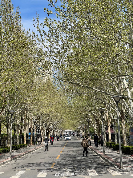 北京两天都刮风 怎么天空差别那么大？