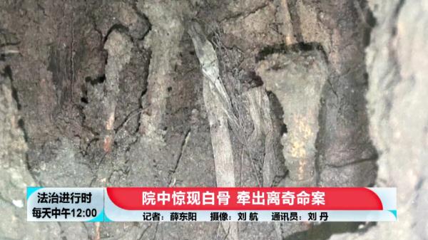 北京大案纪实:院中惊现白骨,牵出离奇命案 北京大案纪实:院中惊现白骨,牵出离奇命案
