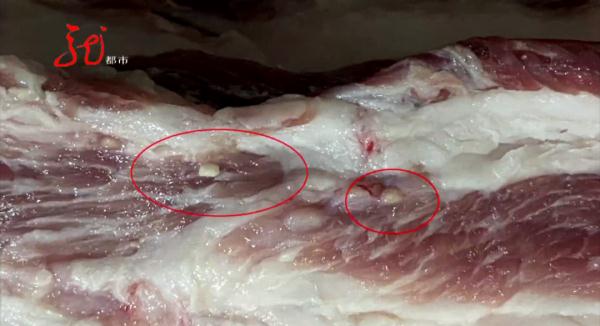 吓人！新买的猪肉里有“痘”，这还能吃吗？赶紧听听专家怎么说
