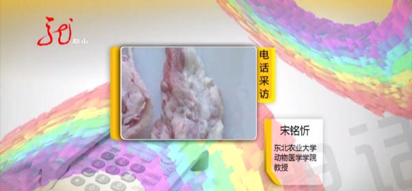 吓人！新买的猪肉里有“痘”，这还能吃吗？赶紧听听专家怎么说