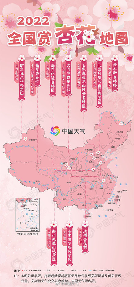 洁白似雪!2022全国赏杏花地图 出炉 洁白似雪!2022全国赏杏花地图 出炉