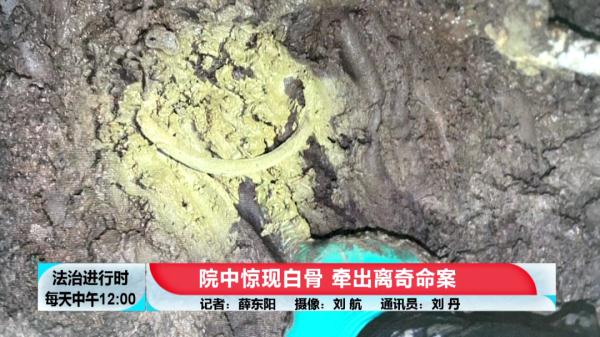 北京大案纪实:院中惊现白骨,牵出离奇命案 北京大案纪实:院中惊现白骨,牵出离奇命案