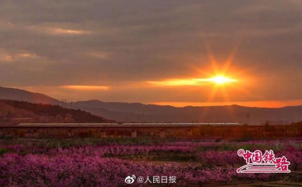 开往春天的列车太美了! 开往春天的列车太美了!
