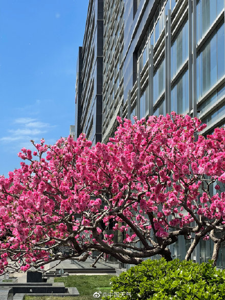 北京两天都刮风 怎么天空差别那么大？