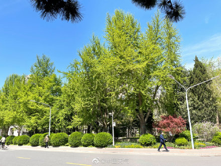 北京两天都刮风 怎么天空差别那么大？