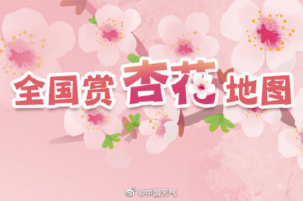 洁白似雪!2022全国赏杏花地图 出炉 洁白似雪!2022全国赏杏花地图 出炉