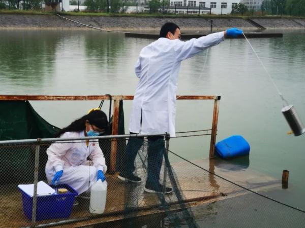 郑州柿园水厂换水源后，水垢增多略带咸味儿，啥原因？