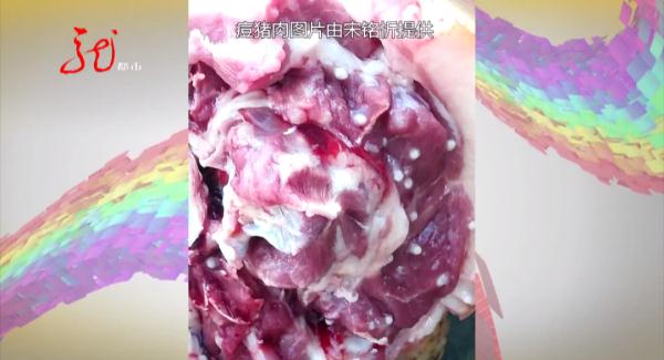 吓人！新买的猪肉里有“痘”，这还能吃吗？赶紧听听专家怎么说
