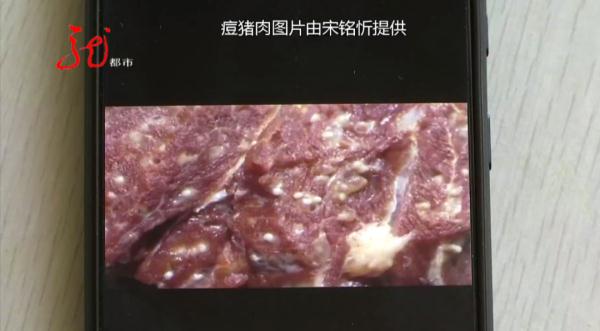 吓人！新买的猪肉里有“痘”，这还能吃吗？赶紧听听专家怎么说