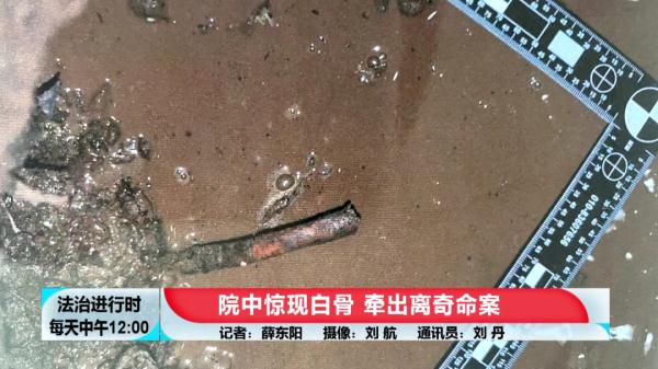 北京大案纪实:院中惊现白骨,牵出离奇命案 北京大案纪实:院中惊现白骨,牵出离奇命案