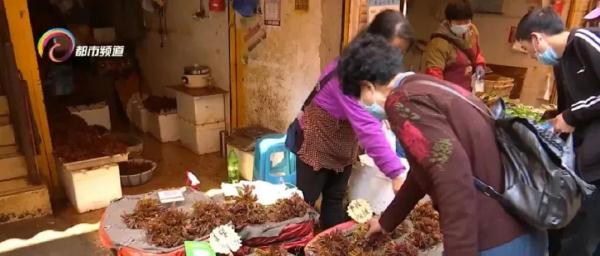 抓住小尾巴！部分春季野菜即将落潮，吃货得抓紧时间啦！