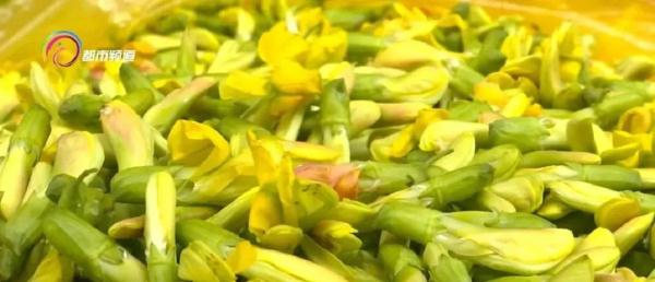 抓住小尾巴！部分春季野菜即将落潮，吃货得抓紧时间啦！