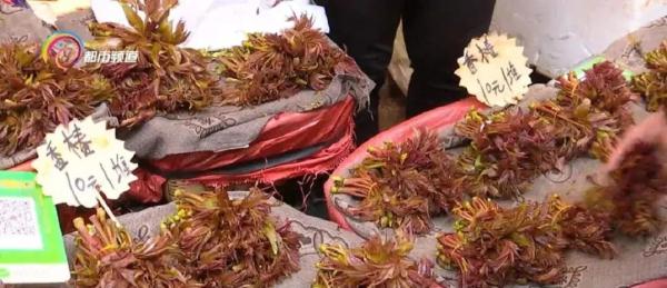 抓住小尾巴！部分春季野菜即将落潮，吃货得抓紧时间啦！