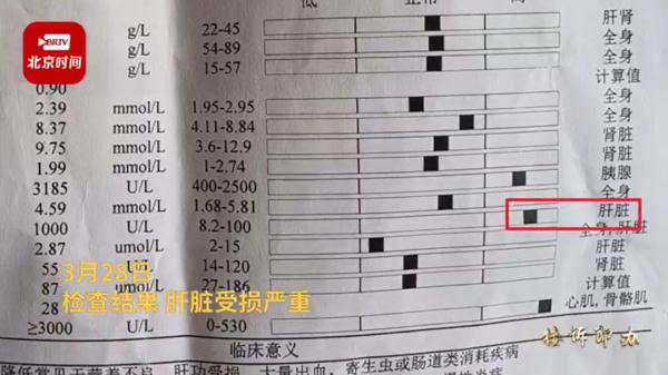 近百只猫疑似食用某品牌猫粮后死亡，商家回应