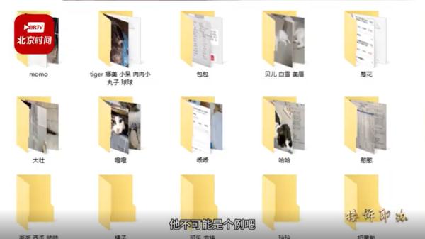 近百只猫疑似食用某品牌猫粮后死亡，商家回应