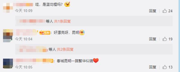 赵立坚点赞的云南这片花海有多美,一起来看 赵立坚点赞的云南这片花海有多美,一起来看